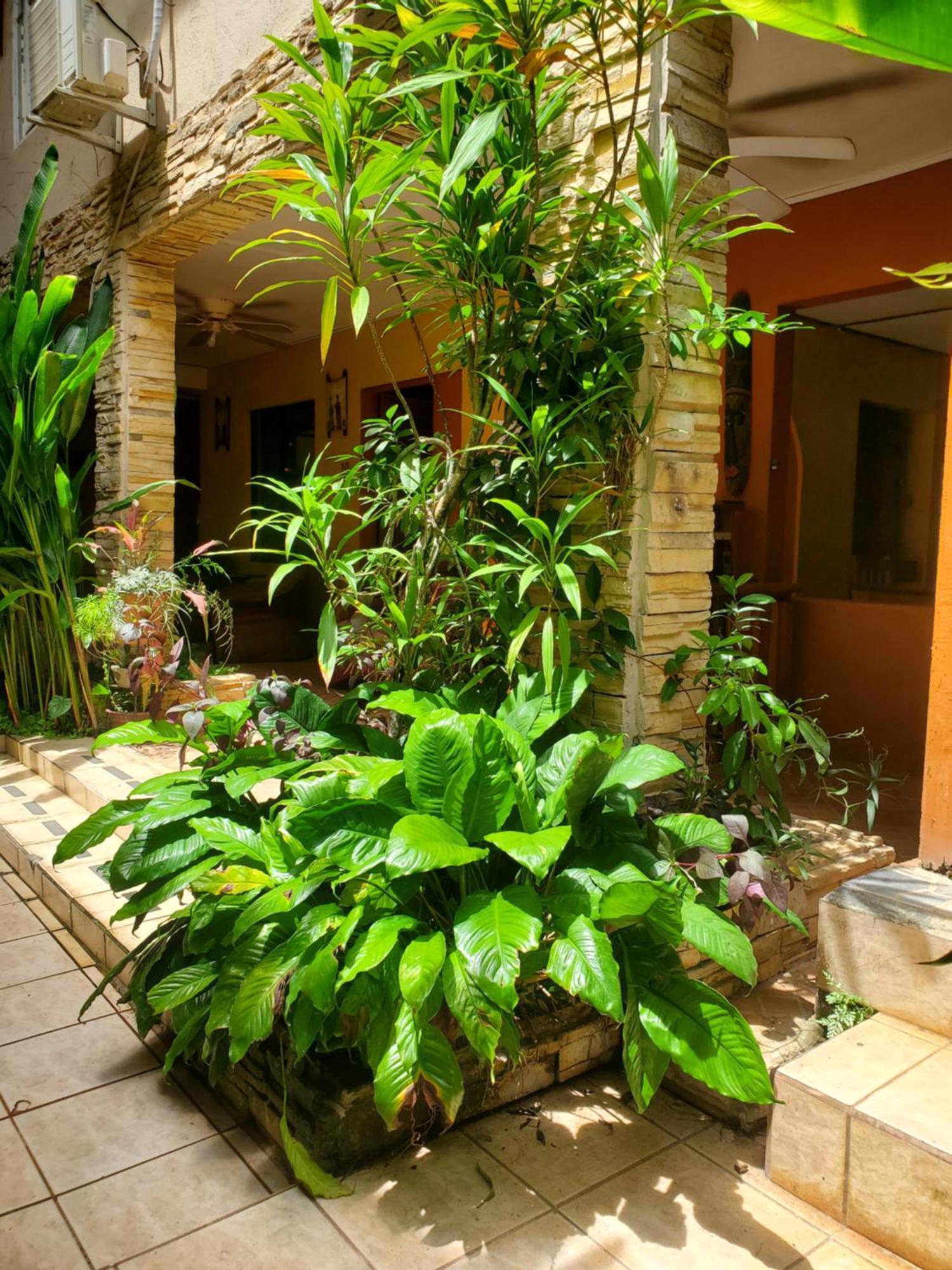 Hotel Villa Prats Manuel Antonio Exteriör bild